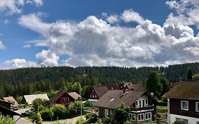 FeWo Waldblick Schulenberg im Oberharz